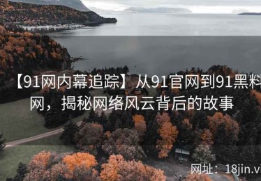 【91网内幕追踪】从91官网到91黑料网，揭秘网络风云背后的故事