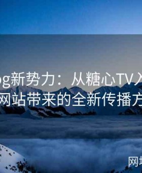 糖心Vlog新势力：从糖心TV入口到官方网站带来的全新传播方式