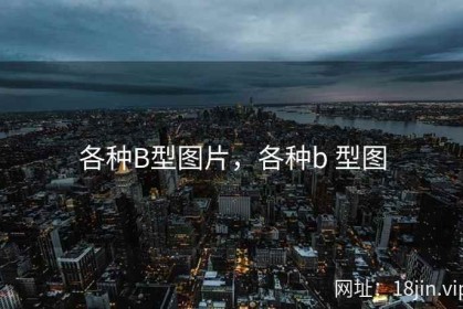 各种B型图片，各种b 型图