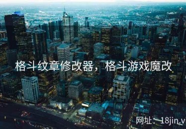 格斗纹章修改器，格斗游戏魔改