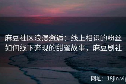 麻豆社区浪漫邂逅：线上相识的粉丝如何线下奔现的甜蜜故事，麻豆剧社