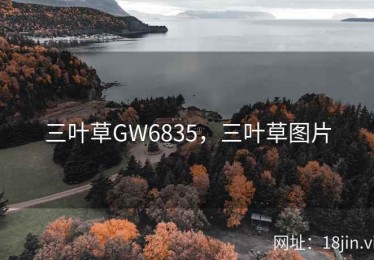 三叶草GW6835，三叶草图片