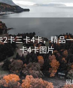 精品一卡2卡三卡4卡，精品一卡2卡三卡4卡图片