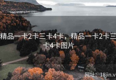 精品一卡2卡三卡4卡，精品一卡2卡三卡4卡图片