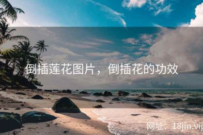 倒插莲花图片，倒插花的功效