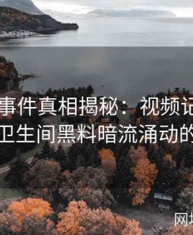 张津瑜事件真相揭秘：视频记录中吕总与卫生间黑料暗流涌动的内幕