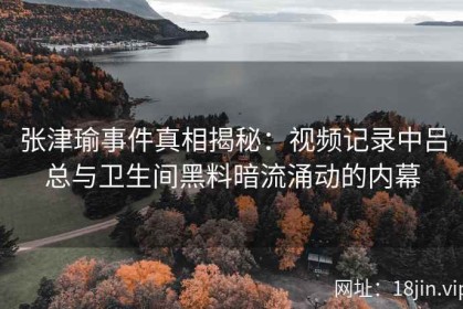 张津瑜事件真相揭秘：视频记录中吕总与卫生间黑料暗流涌动的内幕