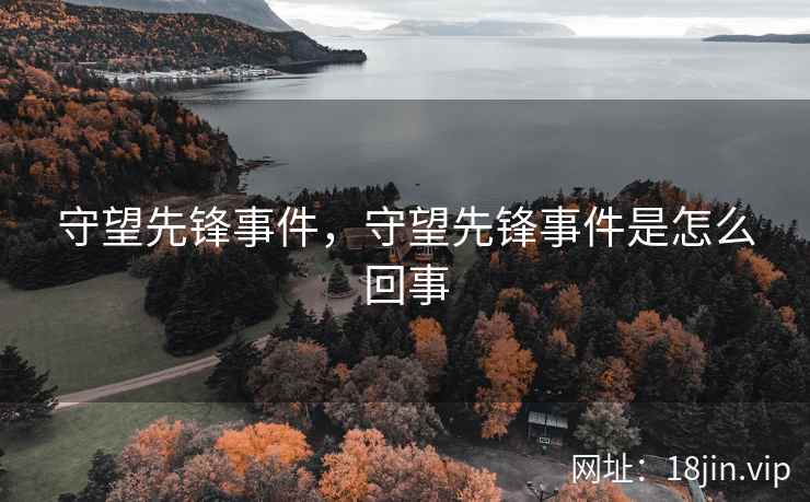 守望先锋事件，守望先锋事件是怎么回事