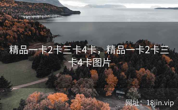 精品一卡2卡三卡4卡，精品一卡2卡三卡4卡图片