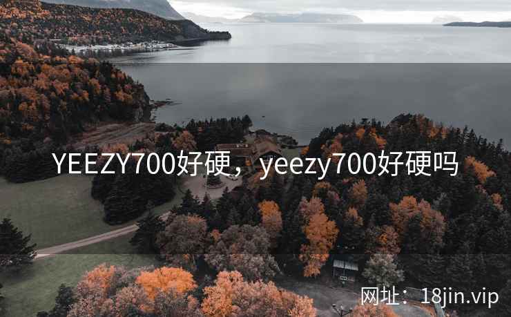 YEEZY700好硬，yeezy700好硬吗