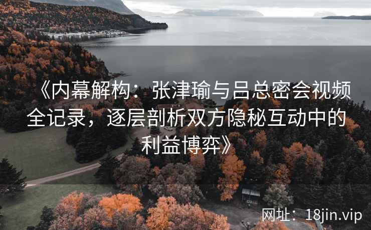 《内幕解构：张津瑜与吕总密会视频全记录，逐层剖析双方隐秘互动中的利益博弈》