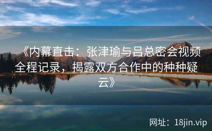 《内幕直击：张津瑜与吕总密会视频全程记录，揭露双方合作中的种种疑云》