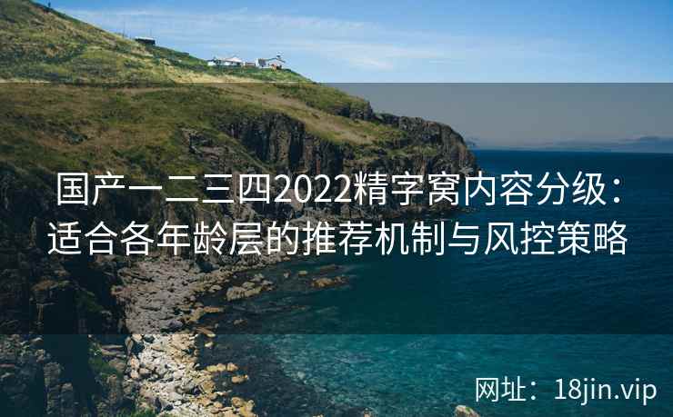 国产一二三四2022精字窝内容分级：适合各年龄层的推荐机制与风控策略