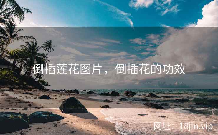 倒插莲花图片，倒插花的功效